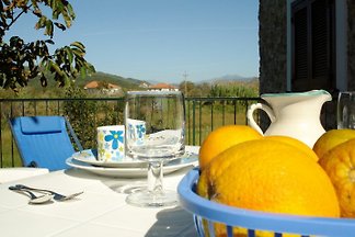 App. Noce, WI-FI, plage 2 km