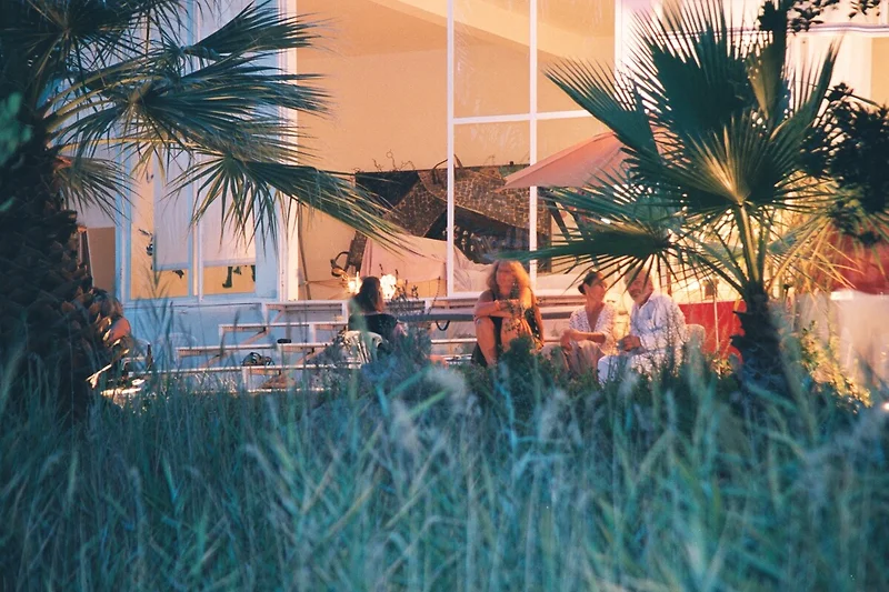Ontspannen avondsfeer zittend onder de palmbomen en genietend van de zwoele zomeravond.
Neem plaats.