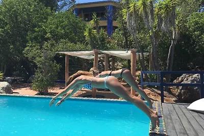 Pavilhao da Arte -Umjetnički