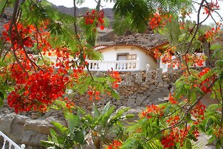 Finca La Palma - Gran Canaria