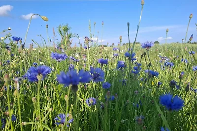 Sommerhaus aus Holzbalken