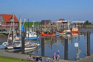 Ferienhaus Barrierefrei bis 7 Pers.