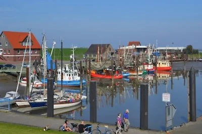 Ferienhaus Barrierefrei bis 6 Pers.