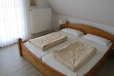 Buschsand Sauna Kamin Hund 150mMeer