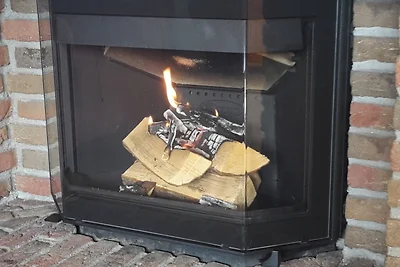 Buschsand Sauna Kamin Hund 150mMeer