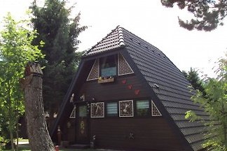 Nur-Dach-Ferienhaus mit Garten