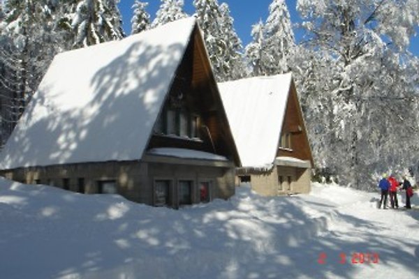 Ferienhaus Floh-Seligenthal