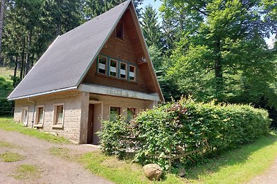 ferienhaus-ebertswiese.de