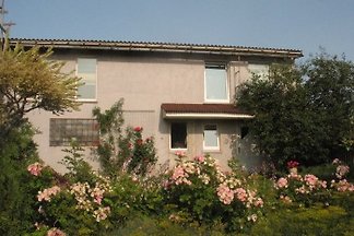 Apartament Papes hause