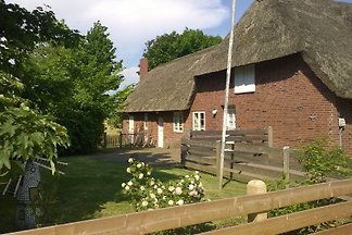 Friesenhaus-Hollaenderdeich