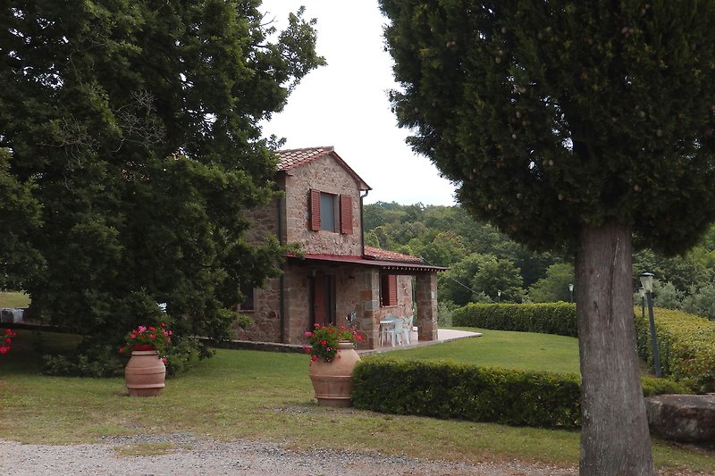 Casa La Vigna, the neighbour house for 6-8 pers. you will find on our website ferienhaus-maremma.com