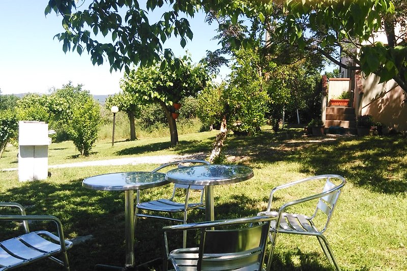 Garden with barbecue and furniture