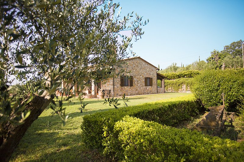 Casa Ramerino among old olive trees