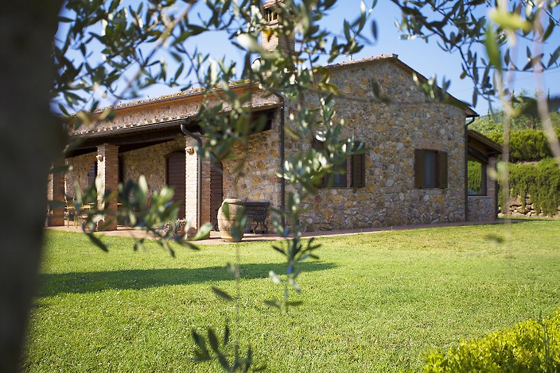 Casa Ramerino among olive groves