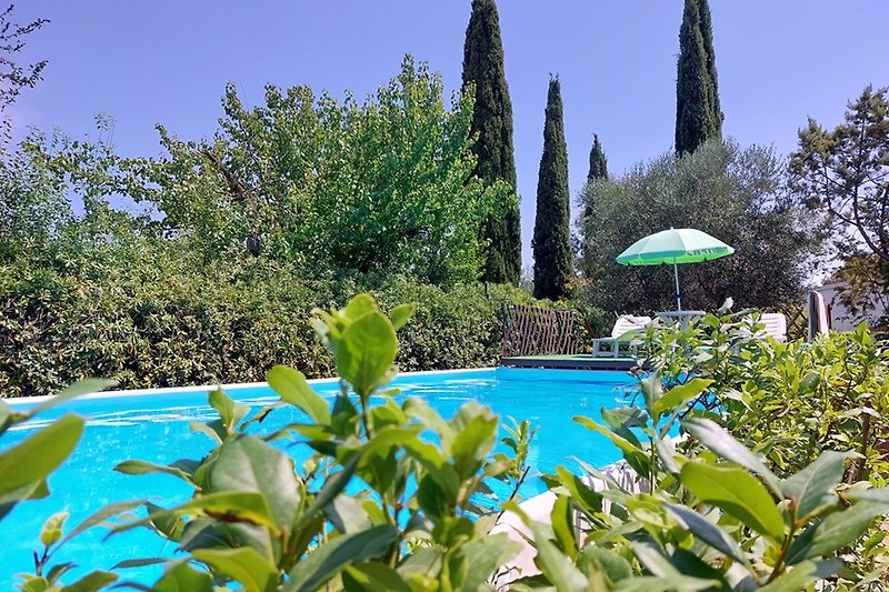Gepflegter Garten mit Pool und Palmen - perfekt für Entspannung!