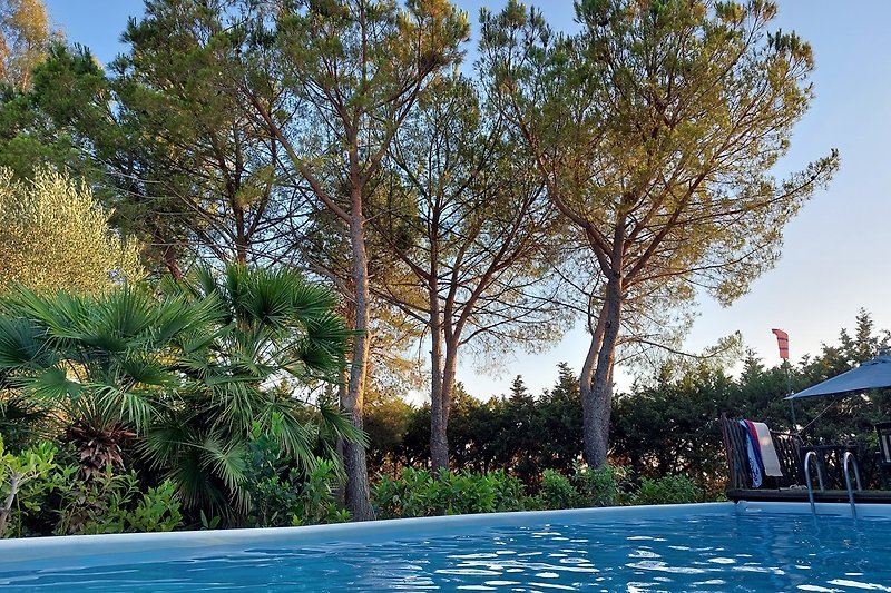 Schwimmbad mit Palmen und Grünflächen - perfekte Erholung!
