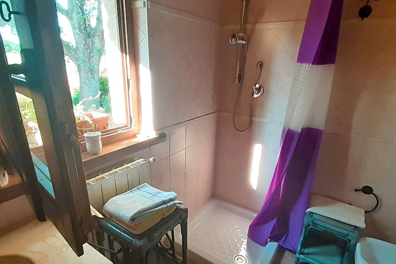 Bad mit Dusche / WC / Bidet