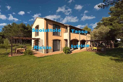 Residenz Pineta Whg Picchio, Pool