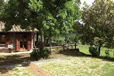 Casa Poggetto, gr. umzäunter Garten