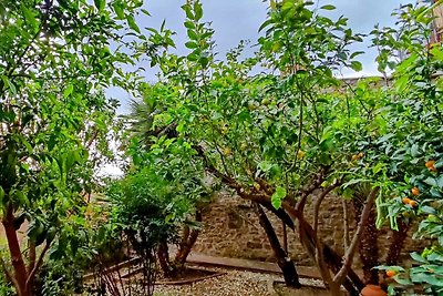 Casa Piave a Scarlino, Toscana meridionale