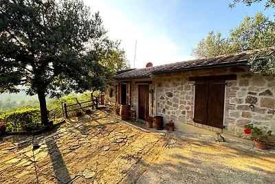 Casa Carmen w odosobnionym, zielonym otoczeniu