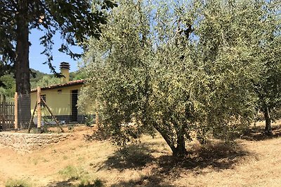 Casa Mauro con piscina privata