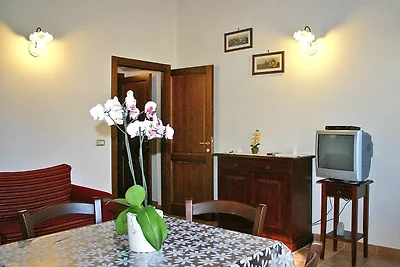 Orchideenfarm mit 3 Wohnungen und Pool bei Montemassi