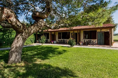 Orchideenfarm mit 3 Wohnungen und Pool bei Montemassi