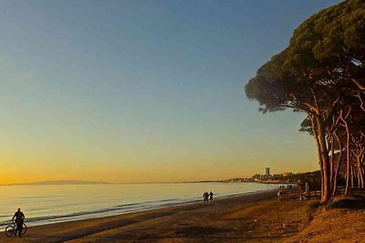 Evening atmosphere on the beach of Follonica