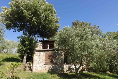 Casa Carmen w odosobnionym, zielonym otoczeniu