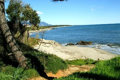 Villa Palmiers