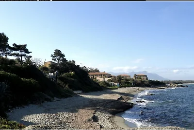 Villa Palmiers
