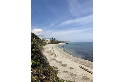 Villa Palmiers