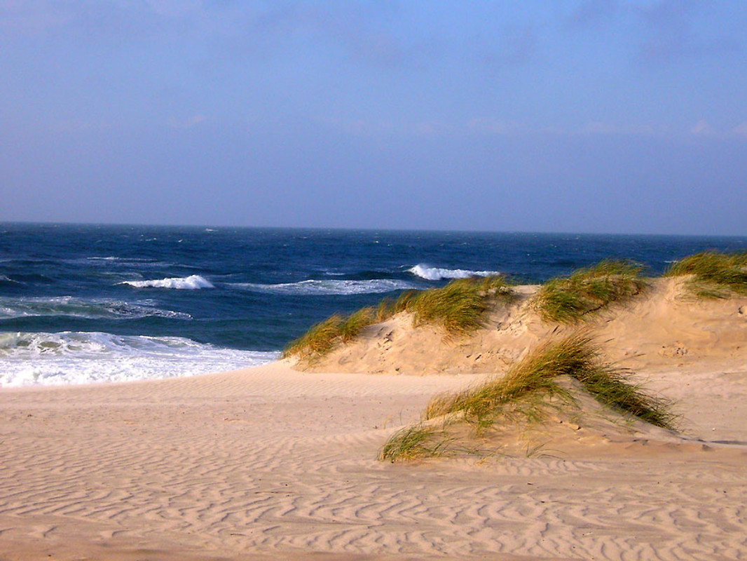 Fickende Paare Am Strand Bilder