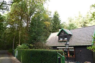 Ferienhaus Schneverdingen