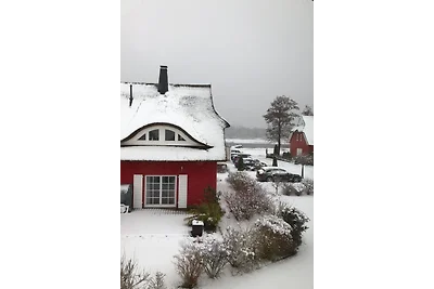 Haus Eisvogel