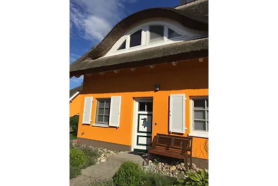 Haus Eisvogel