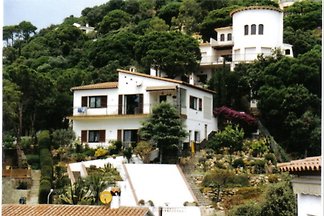 Apartament Casa Romantica