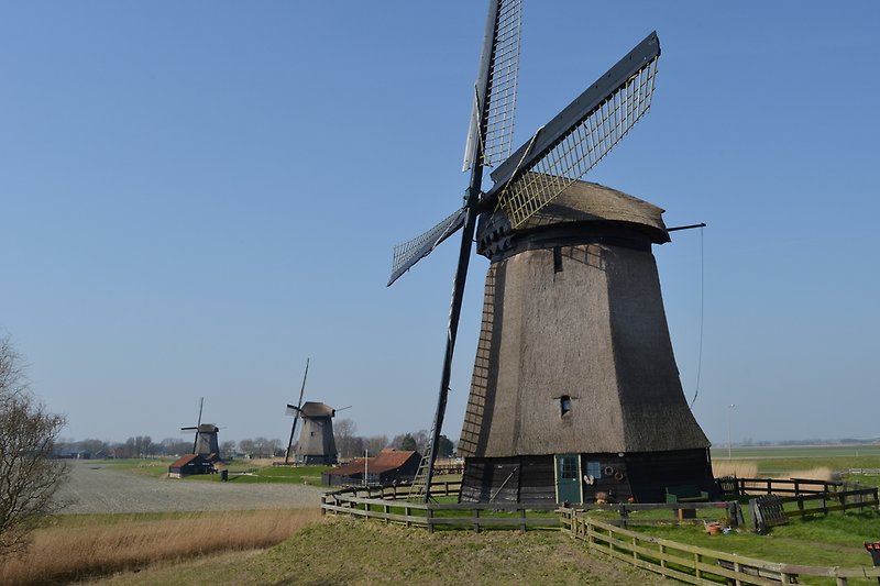 Windmills in the area