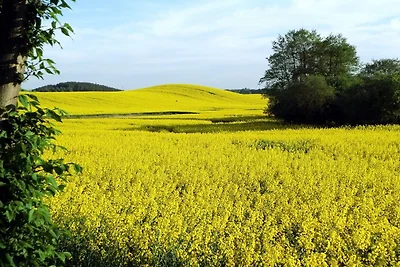 **** Appartamento di vacanza ZühlenSee