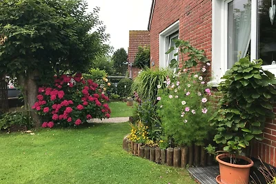 Ferienwohnung auf Norderney
