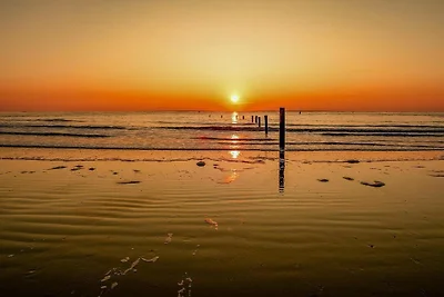 Ferienwohnung auf Norderney