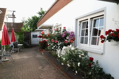 Haus Scarlett  