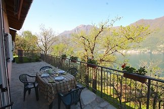 casa nesso