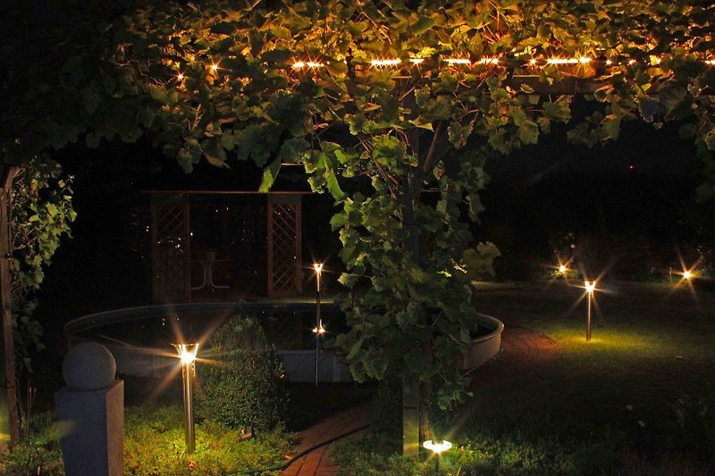 Garten bei Nacht