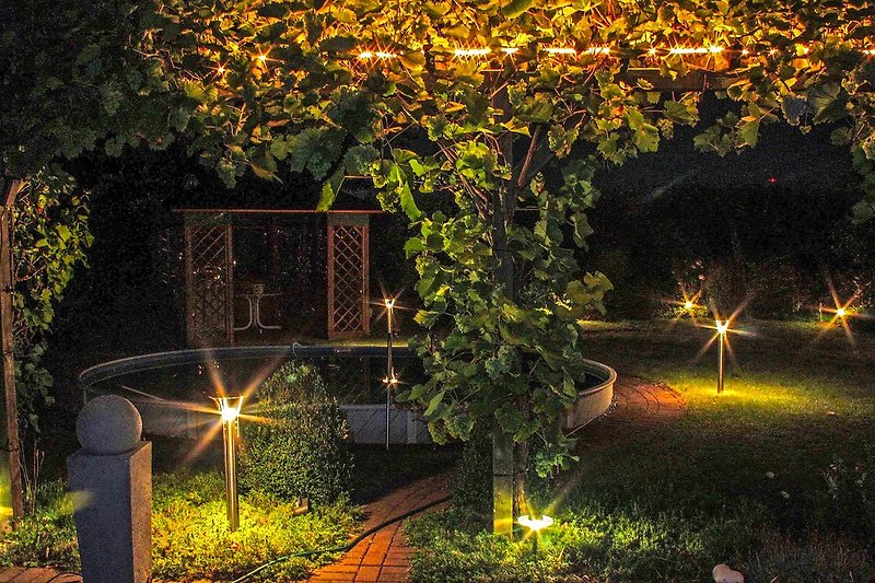 Garten bei Nacht