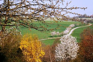 Fewo-Dresden-West
