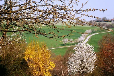 Fewo-Dresden-West