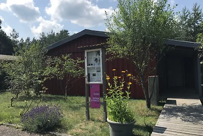 Natura pura nell'Oderland: Rehwiese 21