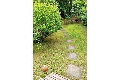 Natura pura nell'Oderland: Rehwiese 12